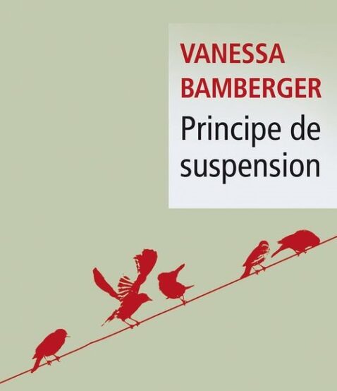 vanessa-bamberger-principe-de-suspension