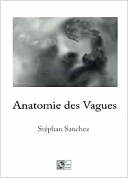 stepan-sanchez-anatomie-des-vagues